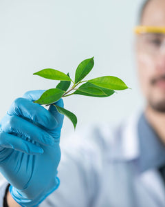 Natürliche Hautpflege: Strahlende Schönheit mit Naturseifen und Shampoos