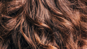 Seifen und Shampoos für normales Haar, vegan, plastikfrei, tierversuchsfrei, palmölfrei