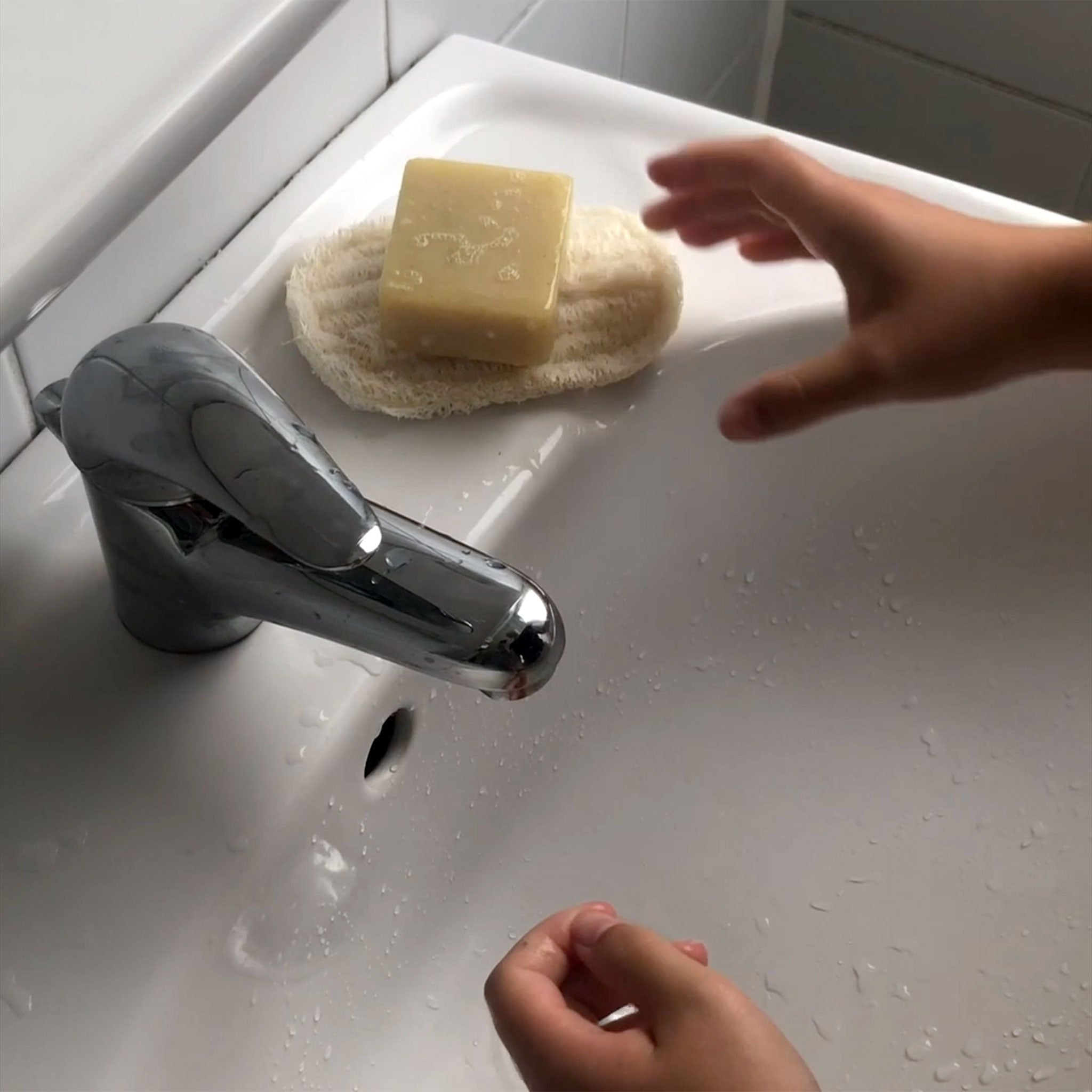 Seifenablage "Luffa" aus Luffa-Gurke – PlantBase,Vegan,Palmölfrei,Plastikfrei,