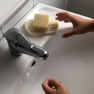 Seifenablage "Luffa" aus Luffa-Gurke – PlantBase,Vegan,Palmölfrei,Plastikfrei,